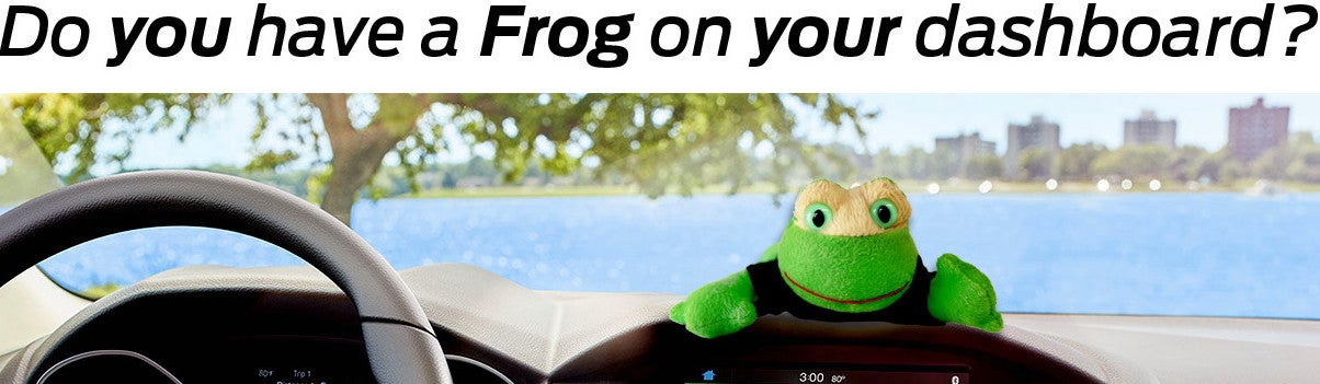 Preston Frog Preston Hyundai in Hurlock MD