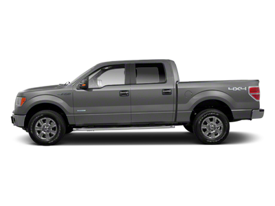 2010 Ford F-150 Platinum
