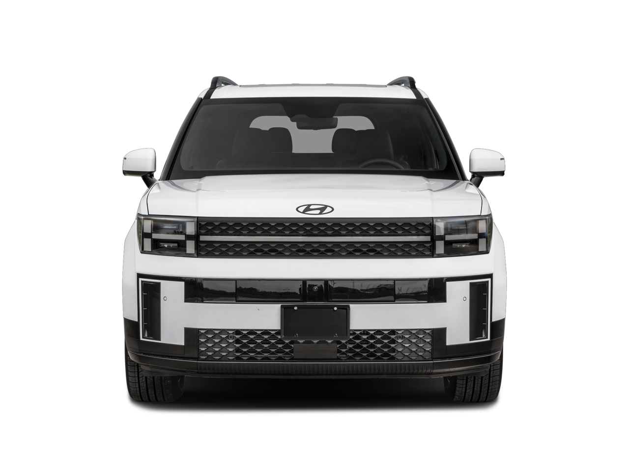 2026 Hyundai Santa Fe Calligraphy photo 3