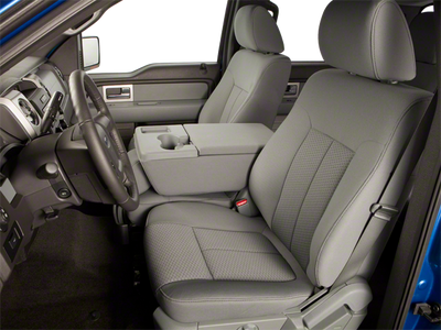 2010 Ford F-150 Platinum