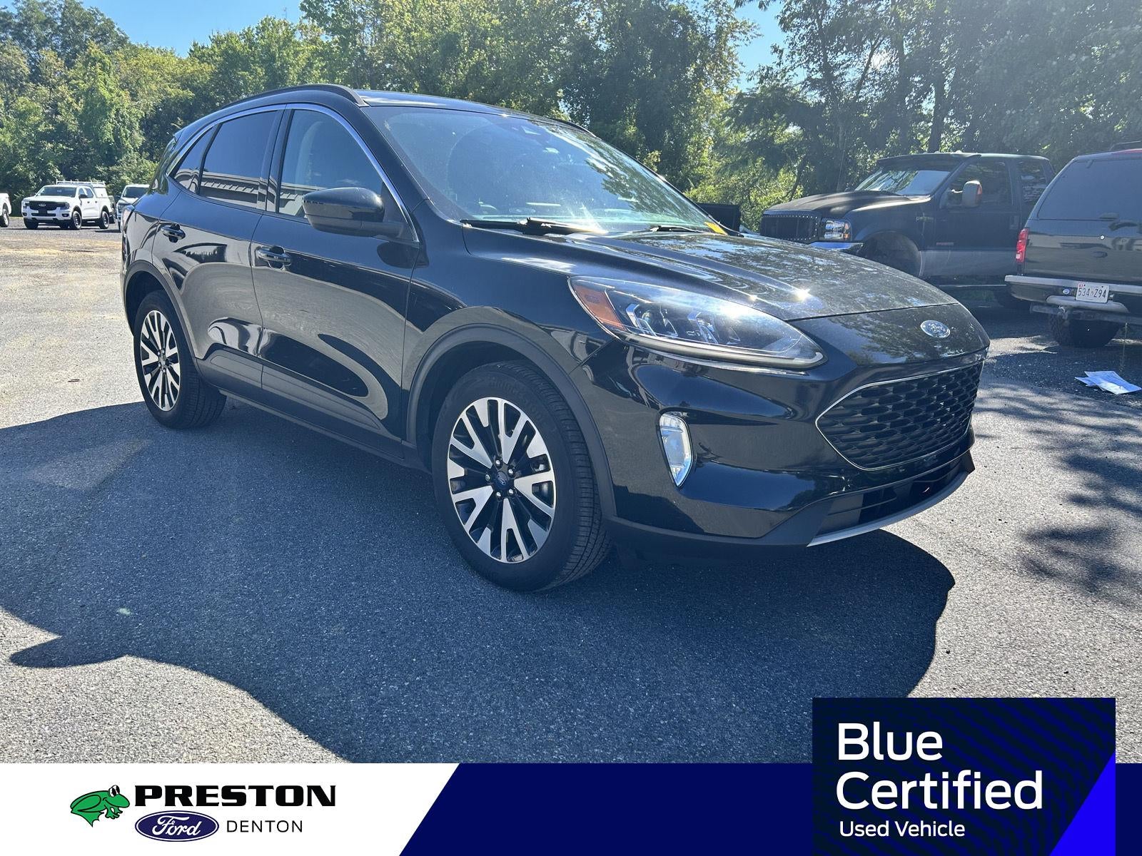 2020 Ford Escape SEL