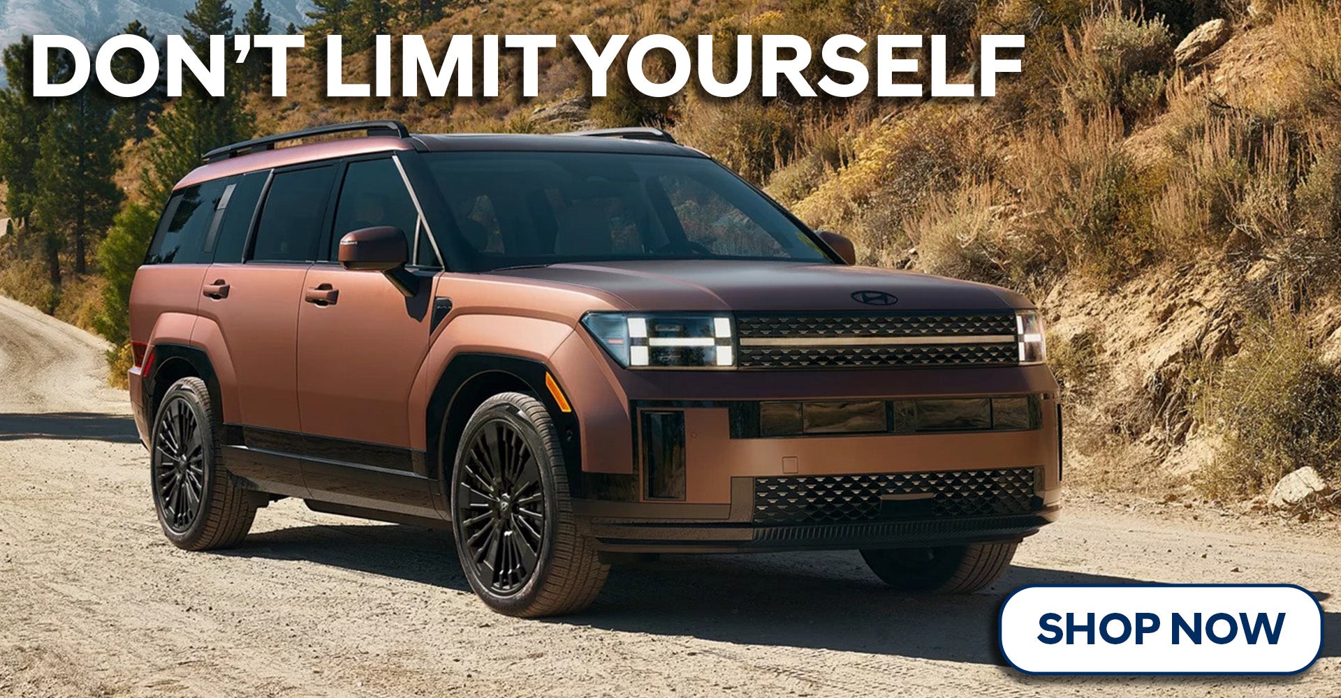 2025 Hyundai Santa Fe Hybrid Near Easton MD